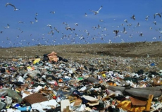 EUROPEN  mnostvo odpadov z obalov kles