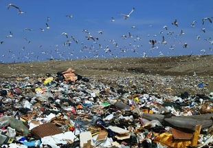 EUROPEN  mnostvo odpadov z obalov kles