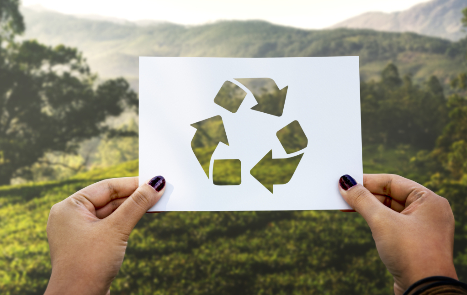 V esku vznikla aliancia pre podporu recyklcie. Zameriava sa na posilnenie a rozrenie udratenosti.